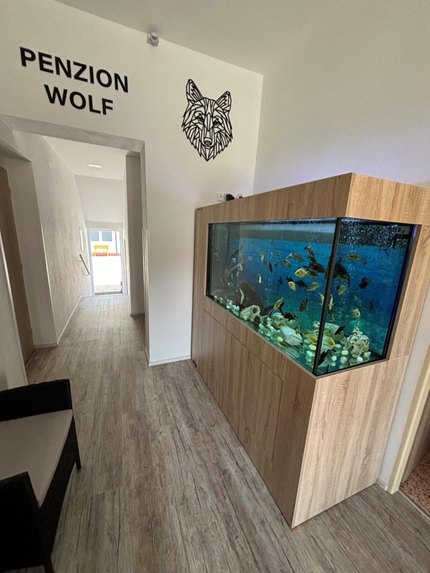 Penzion A Autokemp Wolf Česká Skalice Εξωτερικό φωτογραφία